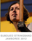 subdued stringband jamboree