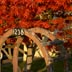 archway