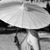 parasol