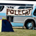 polecat