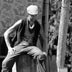 stilts